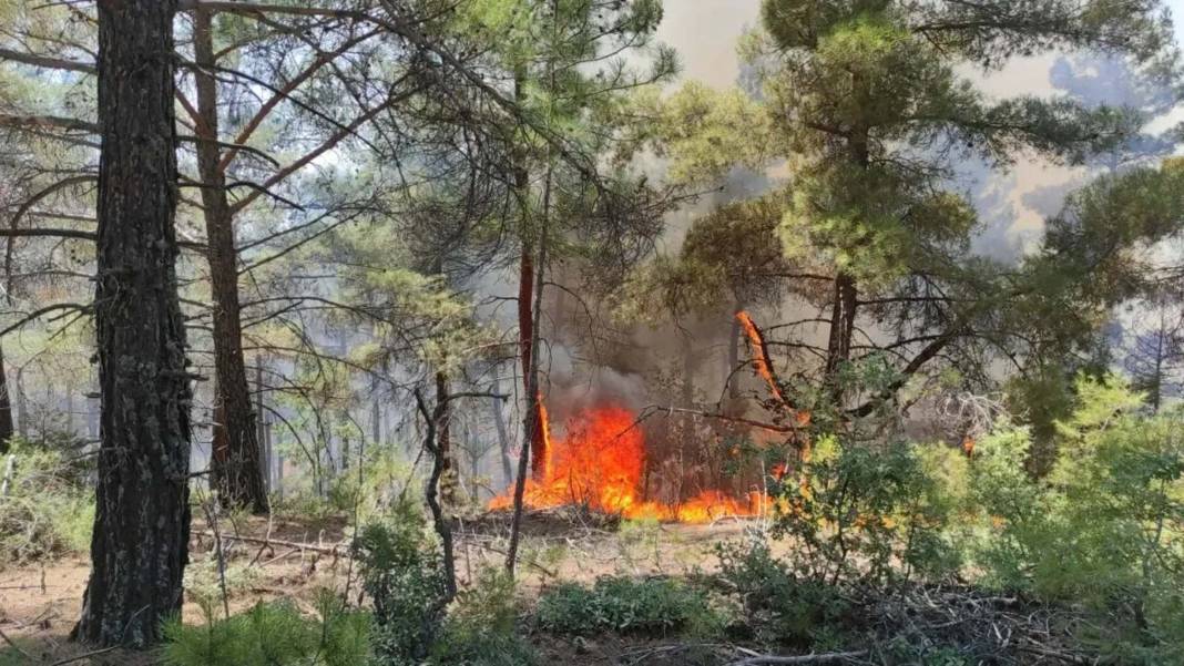 Bakan Yumaklı; Ülke genelinde 48 yangına OGM tarafından müdahale edildi 10